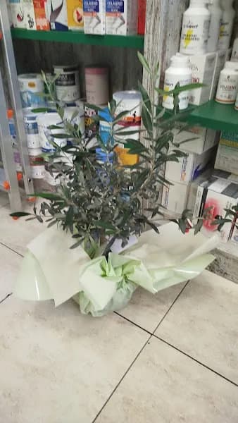 Floristería La Pagoda