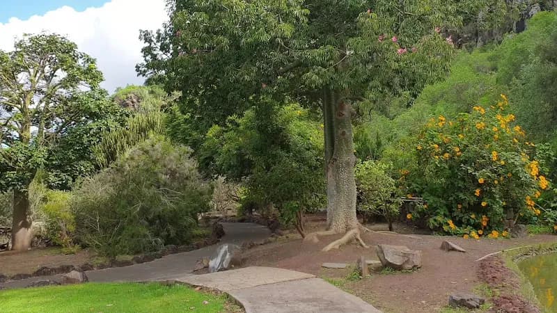 Grădina Botanică Canario Viera Y Clavijo
