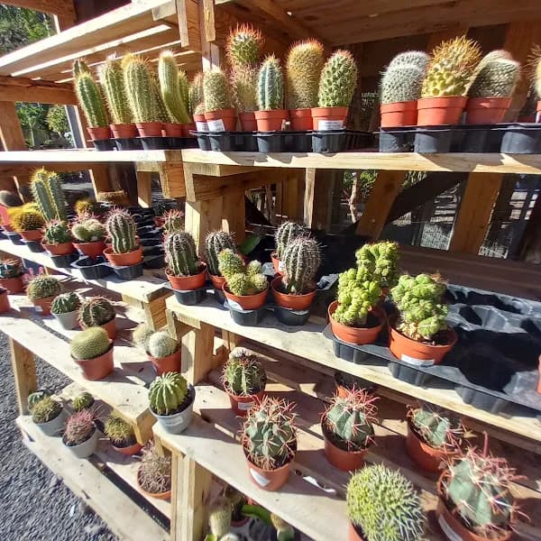 Garden Center Viveros Mogan Las Palmas
